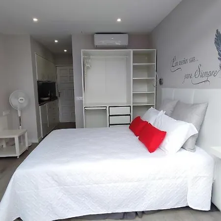 Marina Atico Penthouse Appartement *