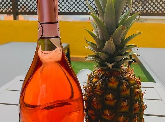 Marina Atico Penthouse Puerto de la Cruz (Tenerife)