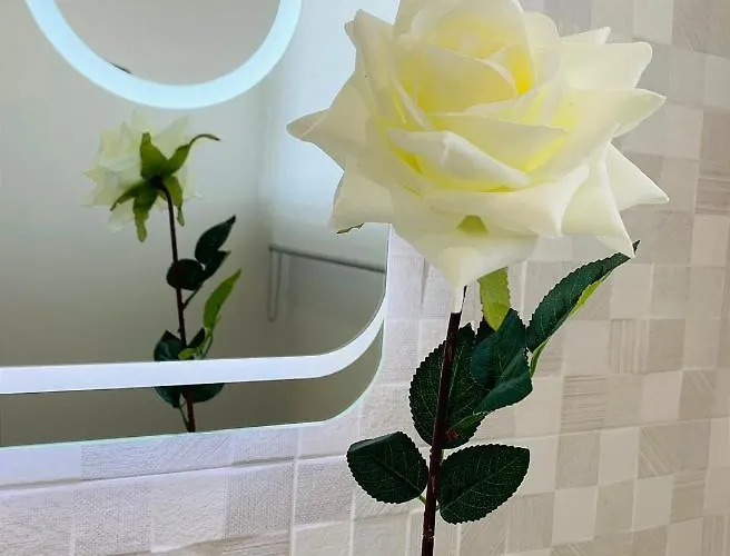 Marina Atico Penthouse 아파트 *